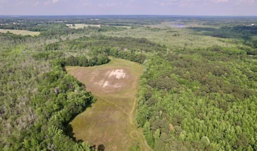 Photo #16 of 1322 Black Creek Road, Four Oaks, NC 80.0 acres