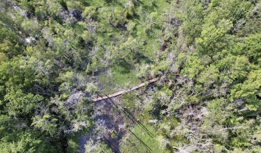 Photo #17 of 1322 Black Creek Road, Four Oaks, NC 80.0 acres