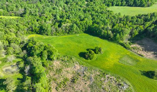 Photo #19 of On Bethel South Fork Road, Snow Camp, NC 36.0 acres