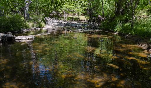 Photo #23 of On Bethel South Fork Road, Snow Camp, NC 36.0 acres