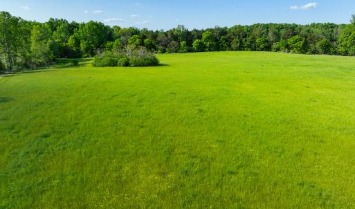 Photo #9 of On Bethel South Fork Road, Snow Camp, NC 40.2 acres