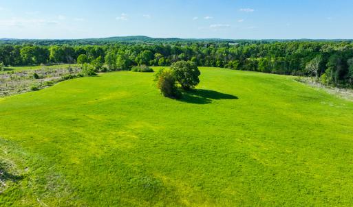 Photo #14 of On Bethel South Fork Road, Snow Camp, NC 40.2 acres