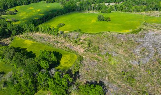 Photo #22 of On Bethel South Fork Road, Snow Camp, NC 40.2 acres