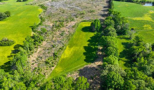 Photo #26 of On Bethel South Fork Road, Snow Camp, NC 40.2 acres