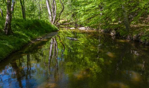 Photo #4 of On Bethel South Fork Road, Snow Camp, NC 76.3 acres