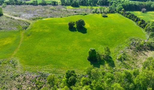 Photo #7 of On Bethel South Fork Road, Snow Camp, NC 76.3 acres