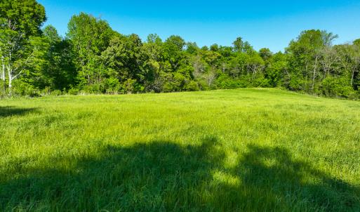 Photo #10 of On Bethel South Fork Road, Snow Camp, NC 76.3 acres