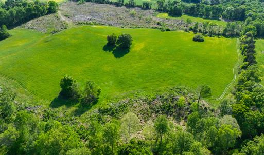 Photo #11 of On Bethel South Fork Road, Snow Camp, NC 76.3 acres