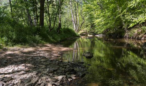 Photo #12 of On Bethel South Fork Road, Snow Camp, NC 76.3 acres
