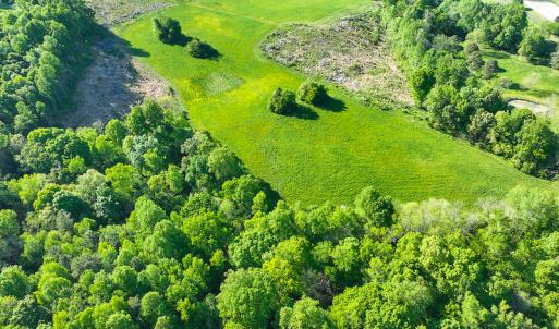 Photo #13 of On Bethel South Fork Road, Snow Camp, NC 76.3 acres