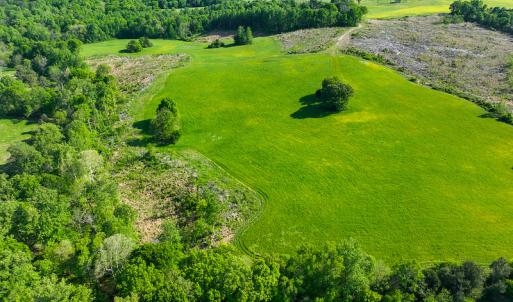 Photo #15 of On Bethel South Fork Road, Snow Camp, NC 76.3 acres