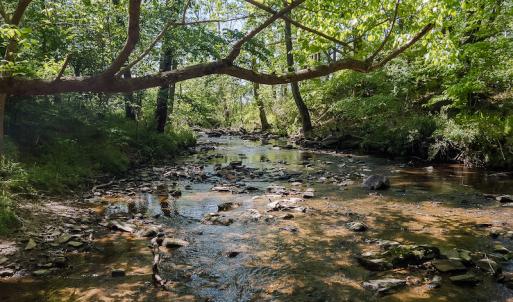 Photo #17 of On Bethel South Fork Road, Snow Camp, NC 76.3 acres