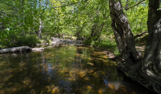 Photo #22 of On Bethel South Fork Road, Snow Camp, NC 76.3 acres