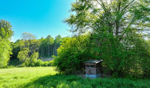 Photo #24 of On Bethel South Fork Road, Snow Camp, NC 76.3 acres
