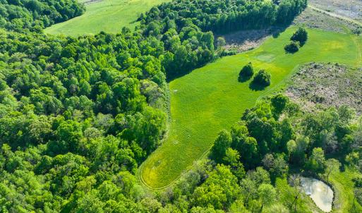 Photo #25 of On Bethel South Fork Road, Snow Camp, NC 76.3 acres