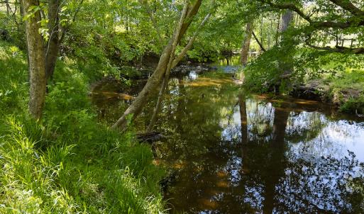 Photo #28 of On Bethel South Fork Road, Snow Camp, NC 76.3 acres