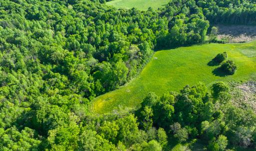 Photo #29 of On Bethel South Fork Road, Snow Camp, NC 76.3 acres