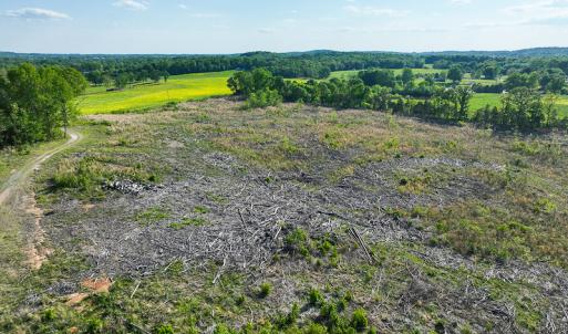 Photo #34 of On Bethel South Fork Road, Snow Camp, NC 76.3 acres