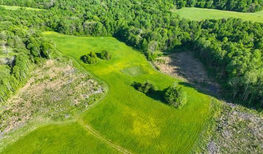 Photo #36 of On Bethel South Fork Road, Snow Camp, NC 76.3 acres