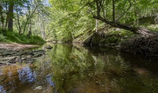 Photo #38 of On Bethel South Fork Road, Snow Camp, NC 76.3 acres