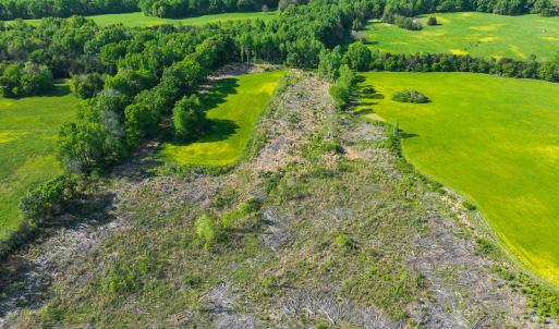 Photo #40 of On Bethel South Fork Road, Snow Camp, NC 76.3 acres