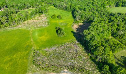 Photo #44 of On Bethel South Fork Road, Snow Camp, NC 76.3 acres