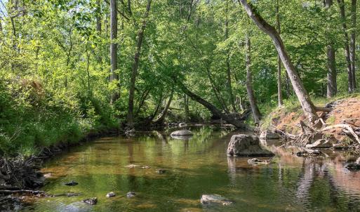 Photo #45 of On Bethel South Fork Road, Snow Camp, NC 76.3 acres
