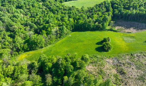 Photo #49 of On Bethel South Fork Road, Snow Camp, NC 76.3 acres