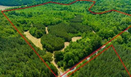 Photo #2 of SOLD property in Off Woodsdale Road & Hideaway Trail, Roxboro, NC 88.1 acres