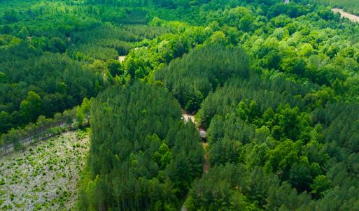 Photo #4 of SOLD property in Off Woodsdale Road & Hideaway Trail, Roxboro, NC 88.1 acres