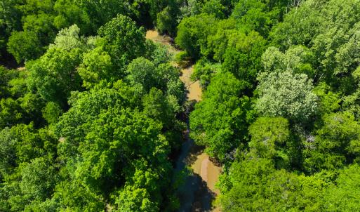 Photo #6 of SOLD property in Off Woodsdale Road & Hideaway Trail, Roxboro, NC 88.1 acres