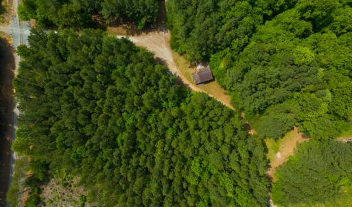Photo #7 of SOLD property in Off Woodsdale Road & Hideaway Trail, Roxboro, NC 88.1 acres