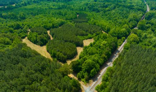 Photo #9 of SOLD property in Off Woodsdale Road & Hideaway Trail, Roxboro, NC 88.1 acres
