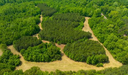 Photo #12 of SOLD property in Off Woodsdale Road & Hideaway Trail, Roxboro, NC 88.1 acres