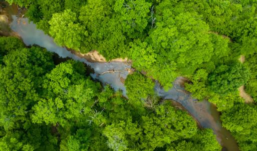 Photo #13 of SOLD property in Off Woodsdale Road & Hideaway Trail, Roxboro, NC 88.1 acres