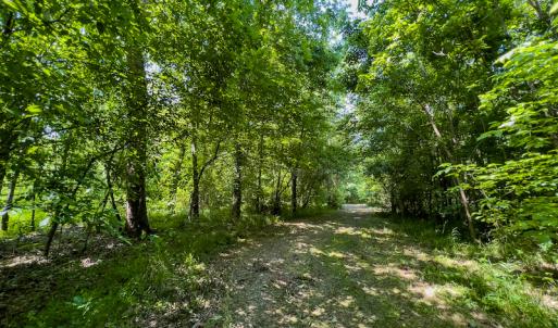 Photo #14 of SOLD property in Off Woodsdale Road & Hideaway Trail, Roxboro, NC 88.1 acres