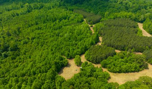 Photo #15 of Off Woodsdale Road & Hideaway Trail, Roxboro, NC 88.1 acres