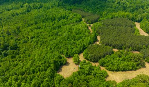 Photo #15 of SOLD property in Off Woodsdale Road & Hideaway Trail, Roxboro, NC 88.1 acres