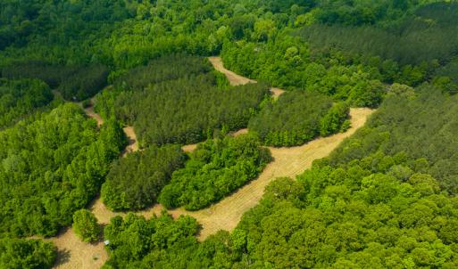 Photo #18 of SOLD property in Off Woodsdale Road & Hideaway Trail, Roxboro, NC 88.1 acres