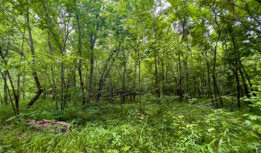 Photo #20 of Off Woodsdale Road & Hideaway Trail, Roxboro, NC 88.1 acres