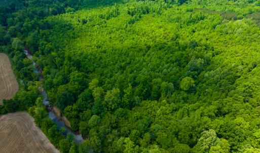 Photo #21 of SOLD property in Off Woodsdale Road & Hideaway Trail, Roxboro, NC 88.1 acres
