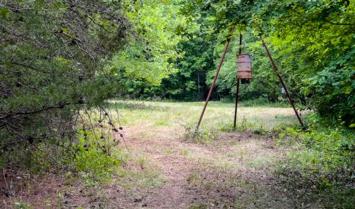 Photo #22 of Off Woodsdale Road & Hideaway Trail, Roxboro, NC 88.1 acres