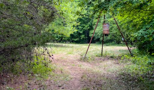 Photo #22 of SOLD property in Off Woodsdale Road & Hideaway Trail, Roxboro, NC 88.1 acres