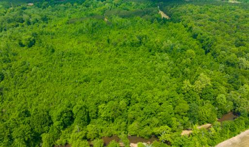 Photo #24 of SOLD property in Off Woodsdale Road & Hideaway Trail, Roxboro, NC 88.1 acres