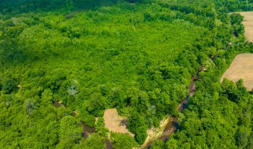 Photo #27 of SOLD property in Off Woodsdale Road & Hideaway Trail, Roxboro, NC 88.1 acres