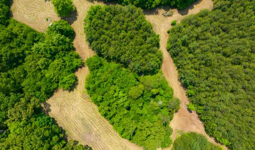 Photo #29 of SOLD property in Off Woodsdale Road & Hideaway Trail, Roxboro, NC 88.1 acres