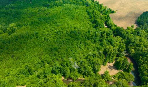 Photo #30 of SOLD property in Off Woodsdale Road & Hideaway Trail, Roxboro, NC 88.1 acres