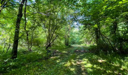 Photo #31 of SOLD property in Off Woodsdale Road & Hideaway Trail, Roxboro, NC 88.1 acres