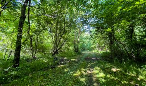 Photo #31 of Off Woodsdale Road & Hideaway Trail, Roxboro, NC 88.1 acres