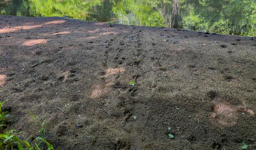 Photo #32 of SOLD property in Off Woodsdale Road & Hideaway Trail, Roxboro, NC 88.1 acres